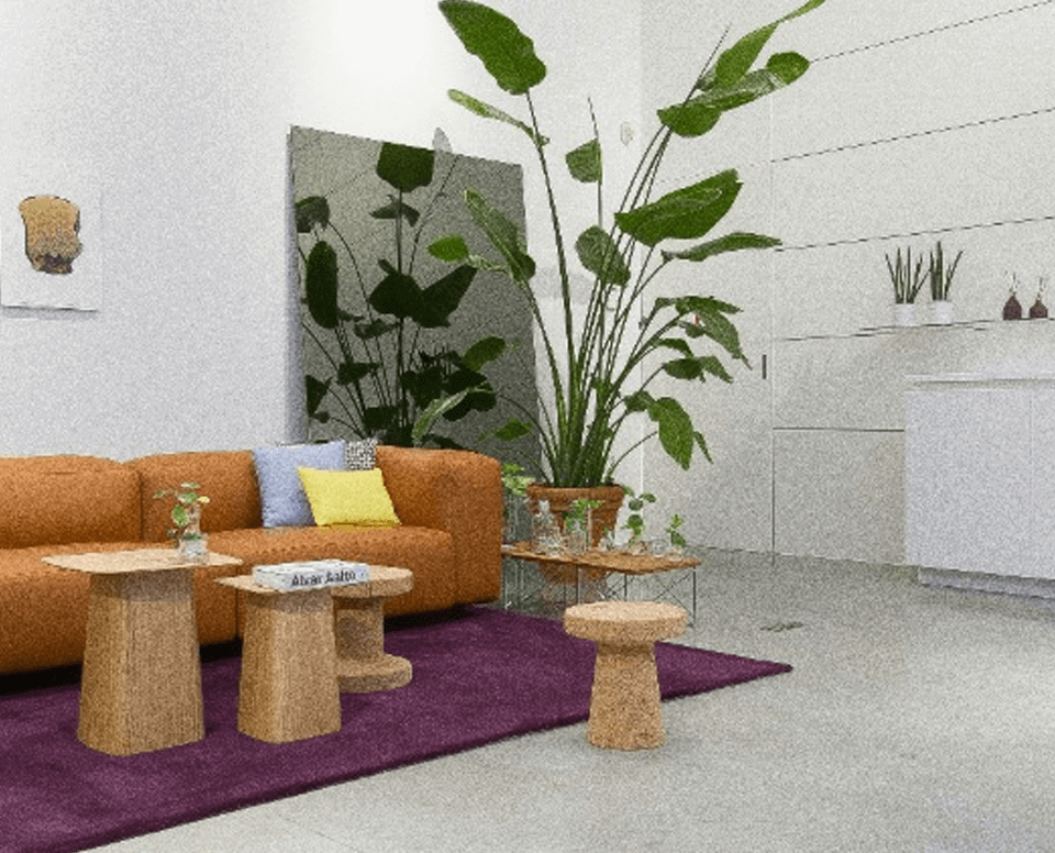 1xBet Partner APK Download